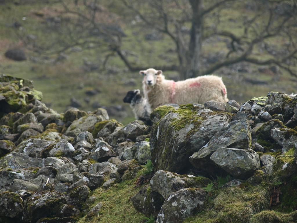 Barn-Gill House Bed & Breakfast Thirlmere Bagian luar foto