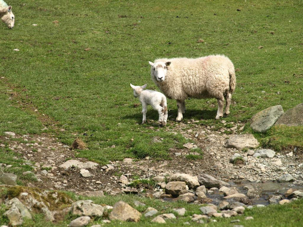 Barn-Gill House Bed & Breakfast Thirlmere Bagian luar foto